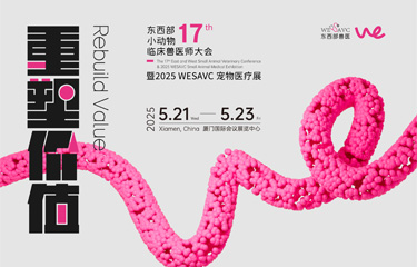 918.com(中国区)官方网站