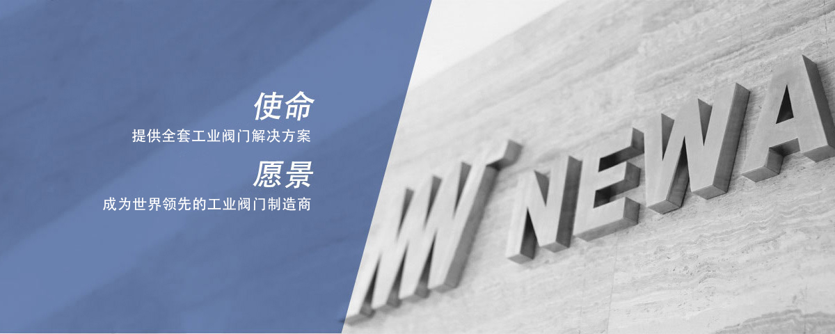 历史bevictor伟德阀门